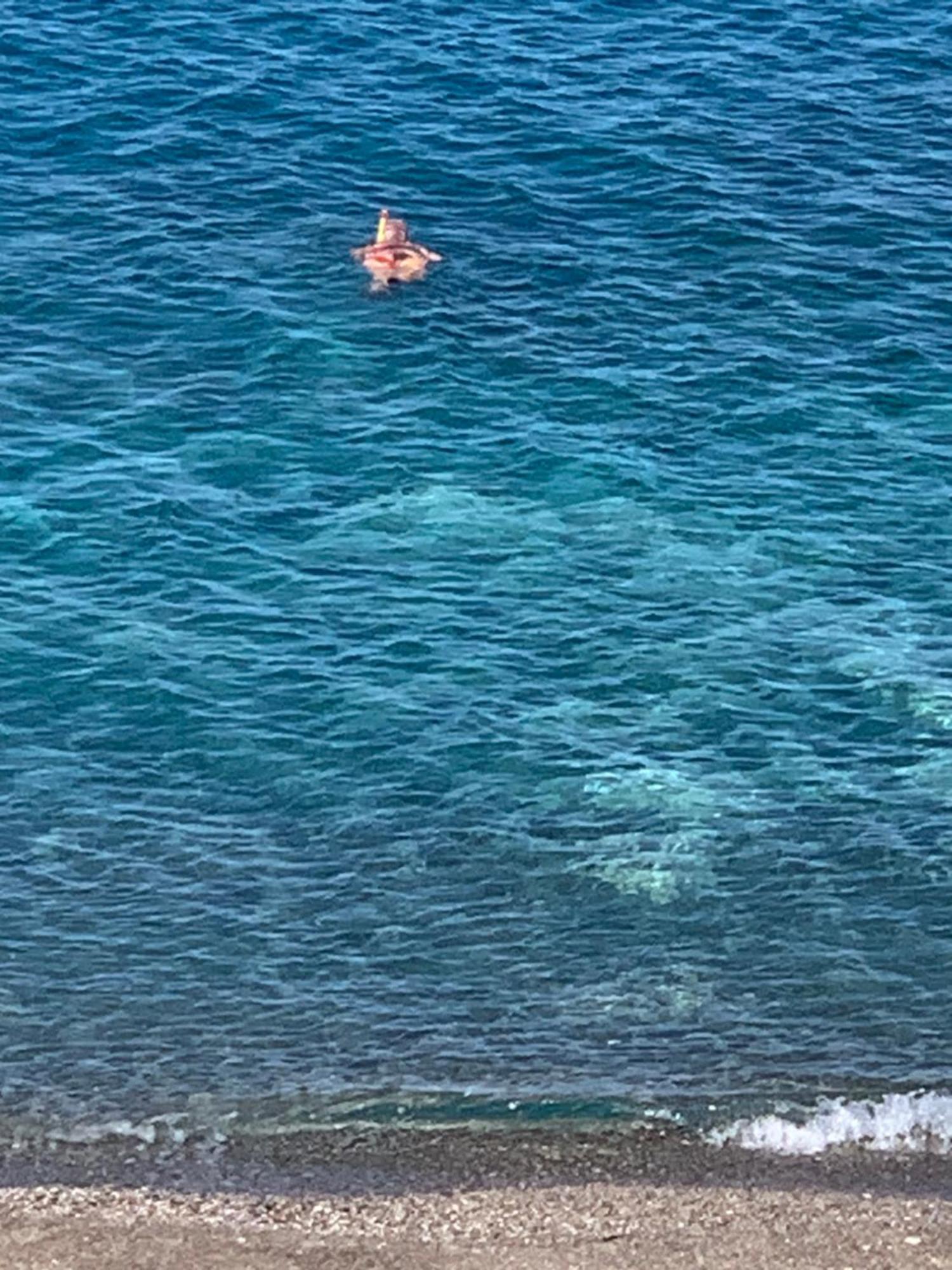 Апартаменты La Porta Delle Eolie Капо-д'Орландо Экстерьер фото